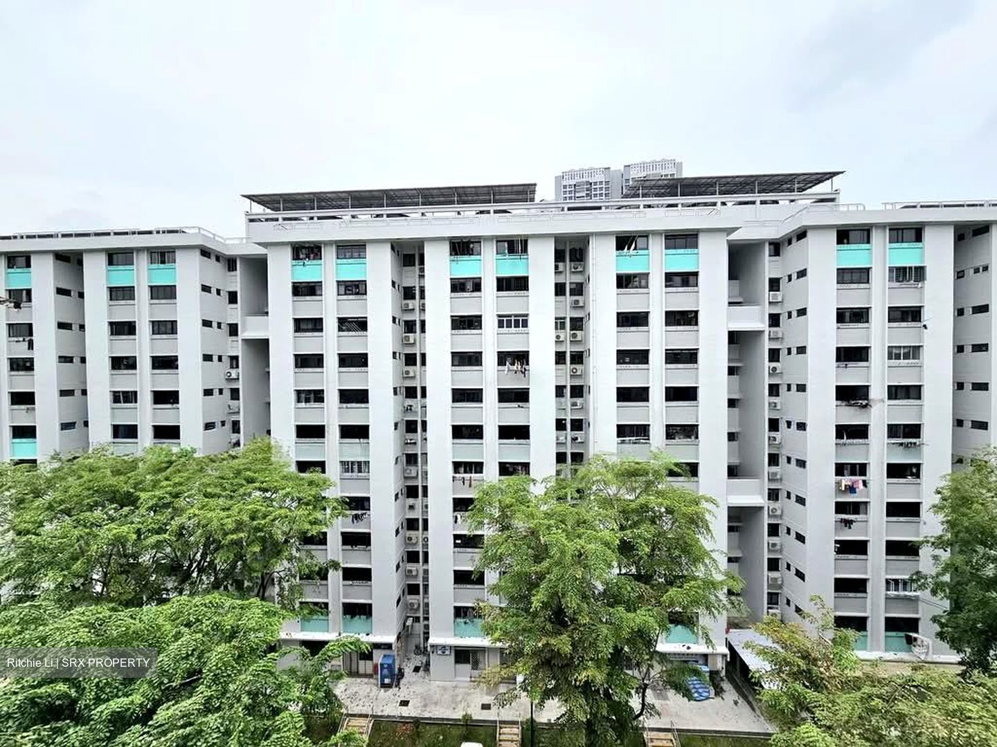 Blk 307 Clementi Meadows (Clementi), HDB 3 Rooms #570241421